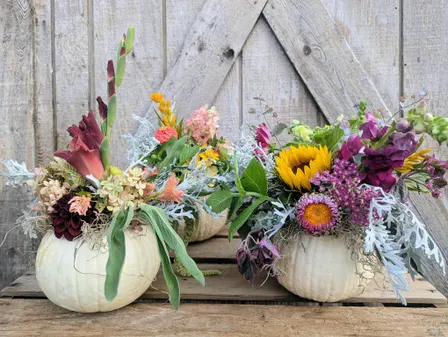 Fall In Bloom