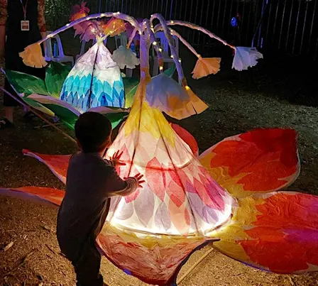 Floriade About Town - Poppy lantern making workshop