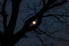 Full Moon Hike