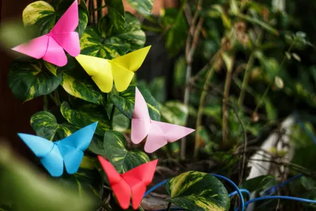 DROP IN | Make it Space: Flying Insects and Springtime Origami