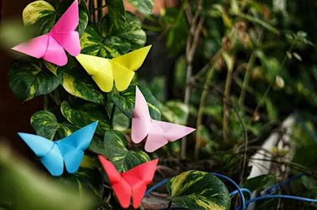 DROP IN | Make it Space: Flying Insects and Springtime Origami