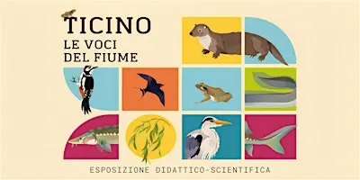 Ticino.  Lo sguardo dell'arte
