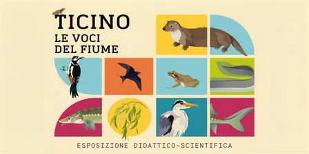 Ticino. Lo sguardo del paleontologo