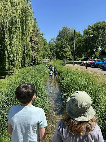 Little Stour River Dipping for Families
