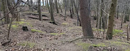 Badger Surveying Workshop