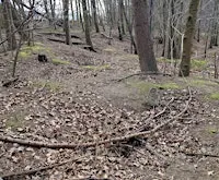Badger Surveying Workshop