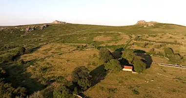 An introduction to the East Dartmoor Landscape Recovery Scheme