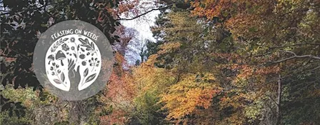 An Autumn Gathering at Lady Dixon Park - Fundraising for PCRF