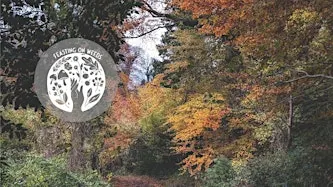 A Winter Gathering at Belvoir Forest - Fundraising for PCRF