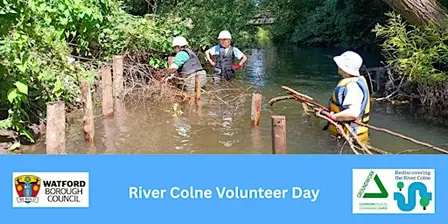 River Colne Volunteer Day- Berm maintenance