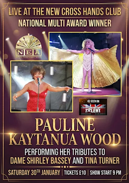 A Night With Shirley Bassey and Tina Turner