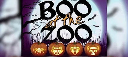 Boo at the Washington Park Zoo