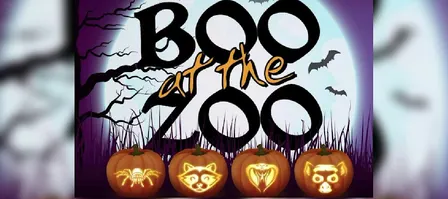 Boo at the Washington Park Zoo