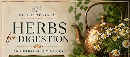 Herbs For Digestion