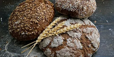 Sharing the Bread of Life
