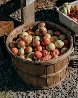 Hannington Cider Festival