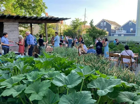 Ring Street Garden Party and Fundraiser