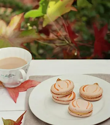 MACARON MAGIC: Fall Pumpkin Edition