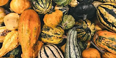 Everything Squash