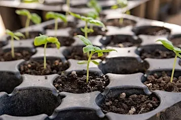 Propagation workshop