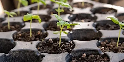 Propagation workshop