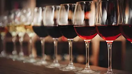 Going “Sideways”: A Wine and Food Adventure
