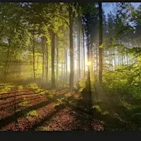 Signs of the Changing Season
