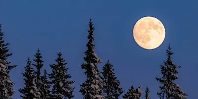 Full Moon Walk