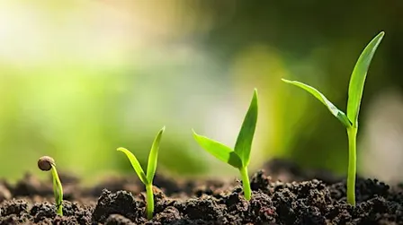 Regenerative Agriculture: Productivity Meets Sustainability Workshop