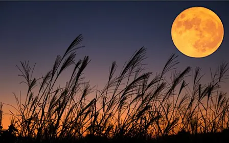 NIGHT BETWEEN REALMS - the harvest full moon