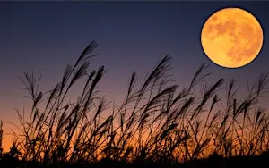 NIGHT BETWEEN REALMS - the harvest full moon