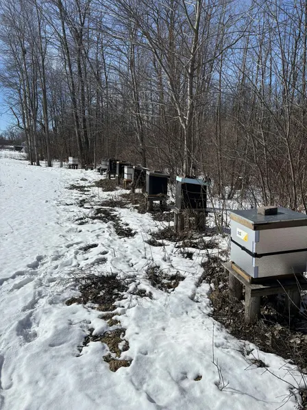 Beekeeping: How to prepare and wrap up beehives for Winter