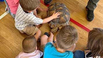 Cobham 10.15am TODDLER exotic animals encounter