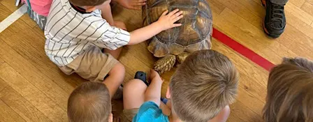 Cobham 10.15am TODDLER exotic animals encounter