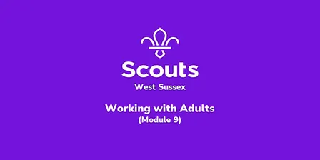 Working with Adults (Module 9)