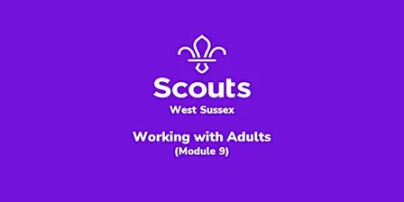 Working with Adults (Module 9)