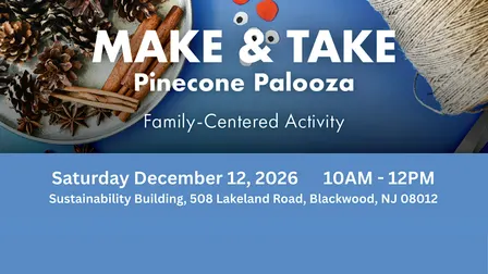 Make & Take: Pinecone Palooza