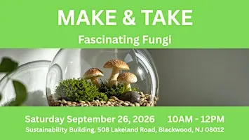 Make & Take: Fascinating Fungi
