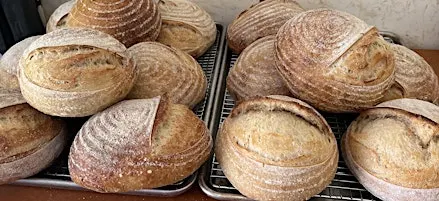 Sourdough Bread Class for Bell Tower Brewing Co.