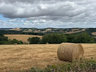Love your Countryside Walk in the Ewyas Harold Area