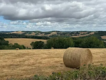 Love your Countryside Walk in the Ewyas Harold Area