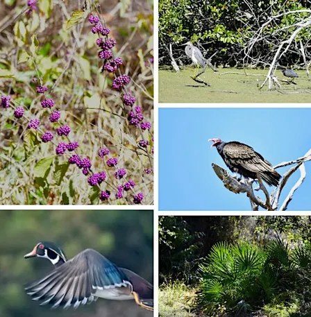 Field Trip - Explore & Contribute to the Seed Bank at the Eide Center