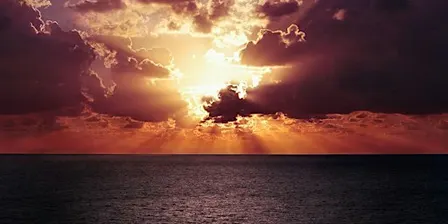 Holy Fire® III Karuna Reiki® Master Training