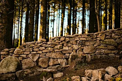 Dry Stone Walling Course