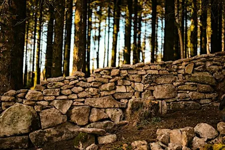 Dry Stone Walling Course