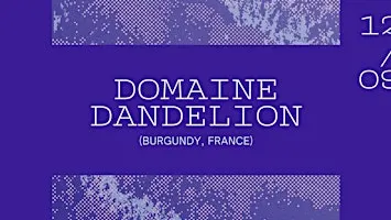 Domaine Dandelion, a little Burgundy secret