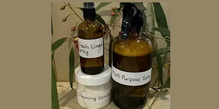 Healthy Home Spring Reset Workshop
