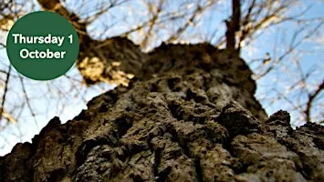Ouse Burn Way: City Tree Trail
