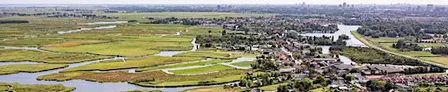 Tussen Rijk en regio