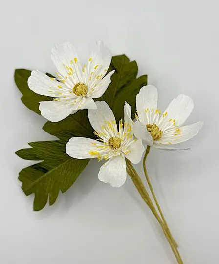 Afternoon Paper flower taster session